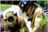 Public Safety Personnel